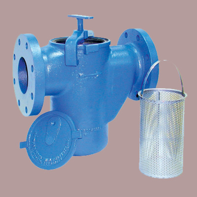Simplex Basket Strainer and Filter